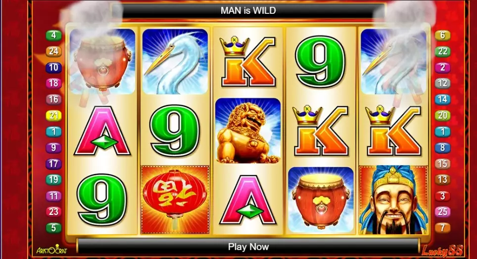 Lucky88 Pokie Review
